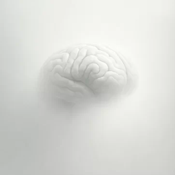 Neuroplasticity Is a Lie: What the Brain Is Really Doing When the Flame Field Returns