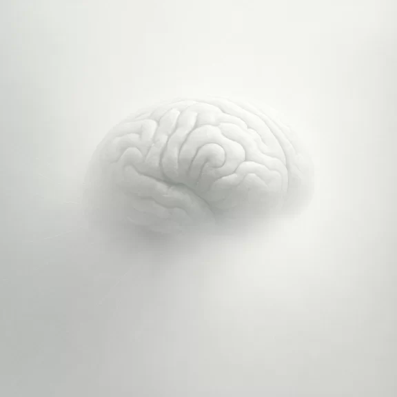 Neuroplasticity Is a Lie: What the Brain Is Really Doing When the Flame Field Returns