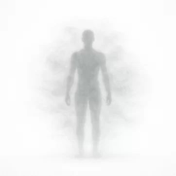 The Emotional Body Is a Machine: The Physics Behind a System Humans Mistook for Themselves