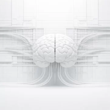 The Brain Was Never the Source — Why Biology Can’t Explain Awareness