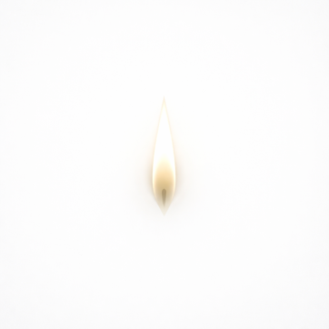 Enrollment Now Open — Eternal Flame Physics Six-Month Immersion